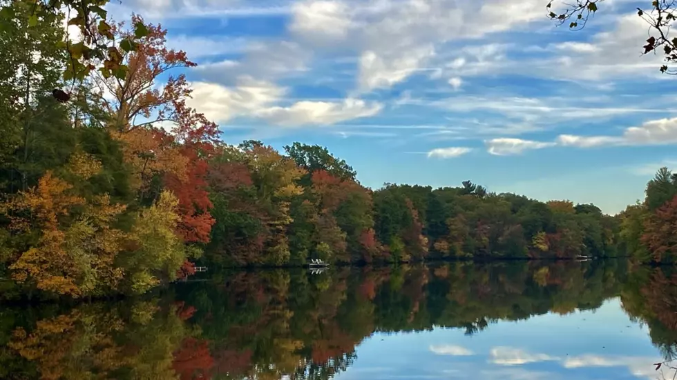 The best time to see fall colors in NJ is this week