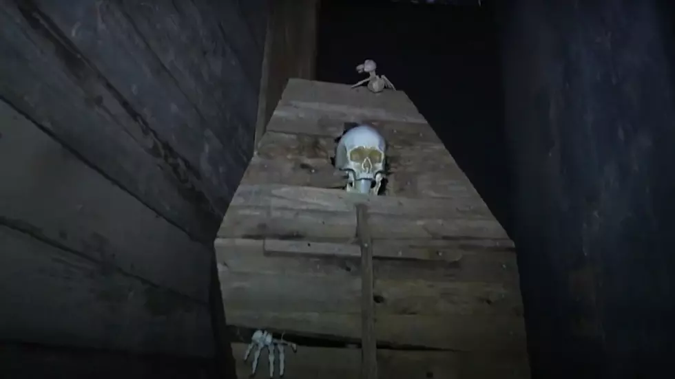 via 13 Skeletons on YouTube