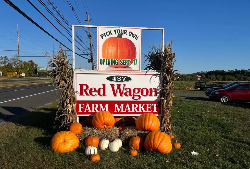 The pumpkin picking place to go in Manalapan or Monroe