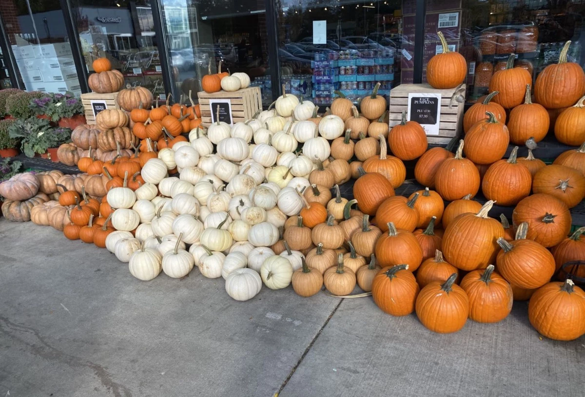 When did New Jersey need so many types of pumpkins?