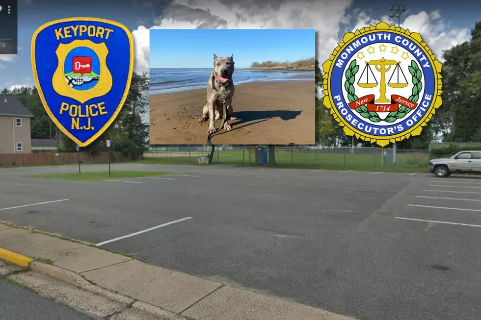 Owner criticizes cops after &#8216;aggressive dog&#8217; is shot in Keyport, NJ