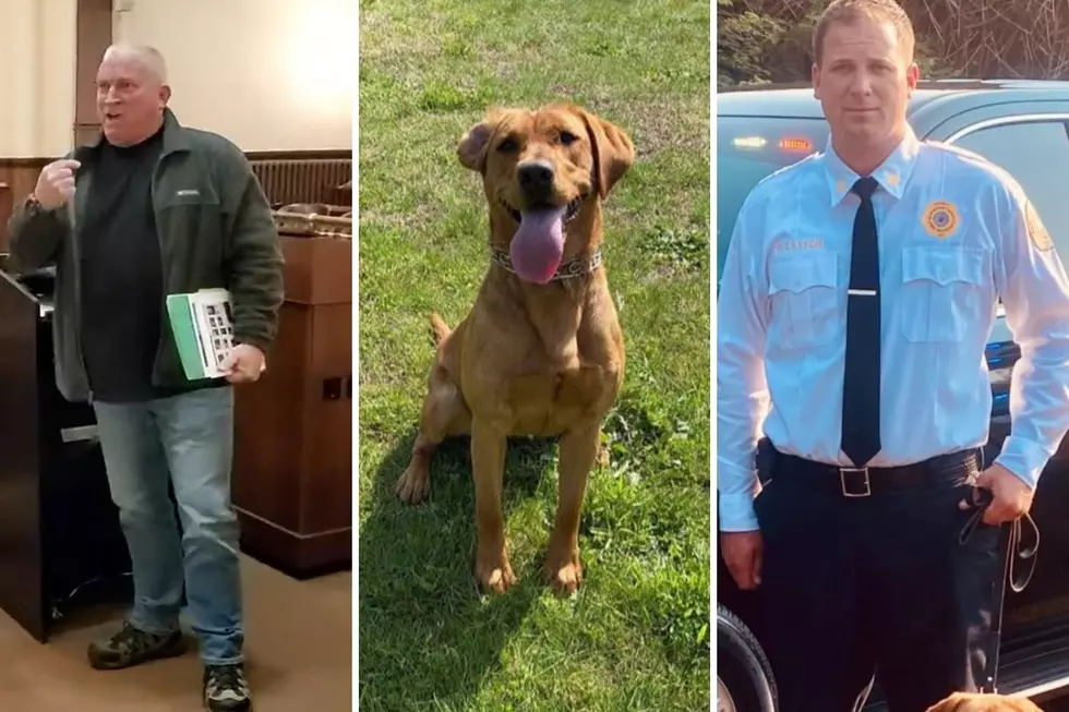 Hottest issue in this county is mysterious death of K-9