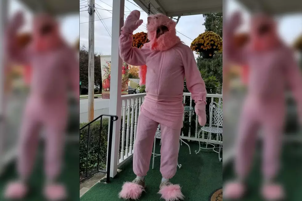 NJ man dressed as pink bunny accused of Halloween flashing