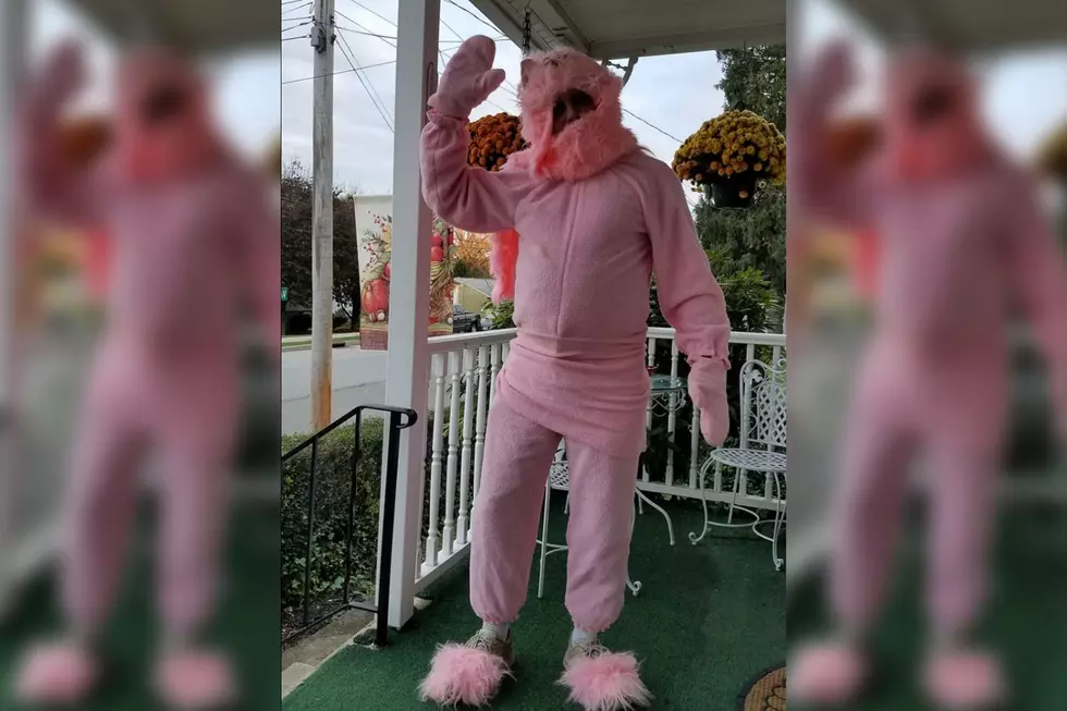 NJ Man Dressed as Pink Bunny Accused of Halloween Flashing