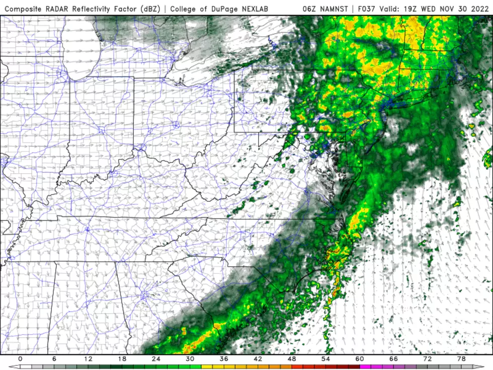 The high-resolution NAM model around 2 p.m. Wednesday shows steady rain driving through New Jersey. (College of DuPage Meteorology)