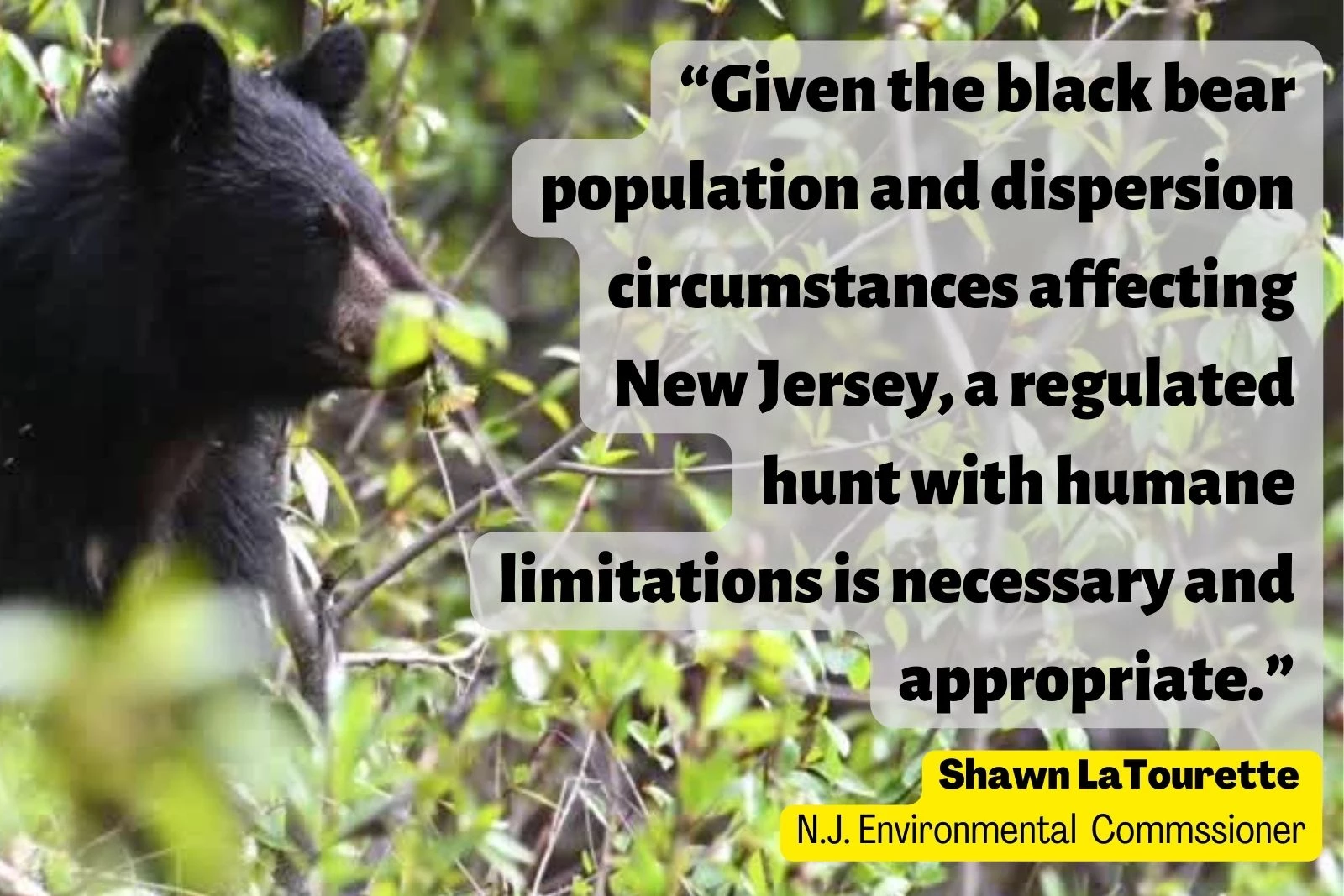 Protect New Jersey Black Bears!