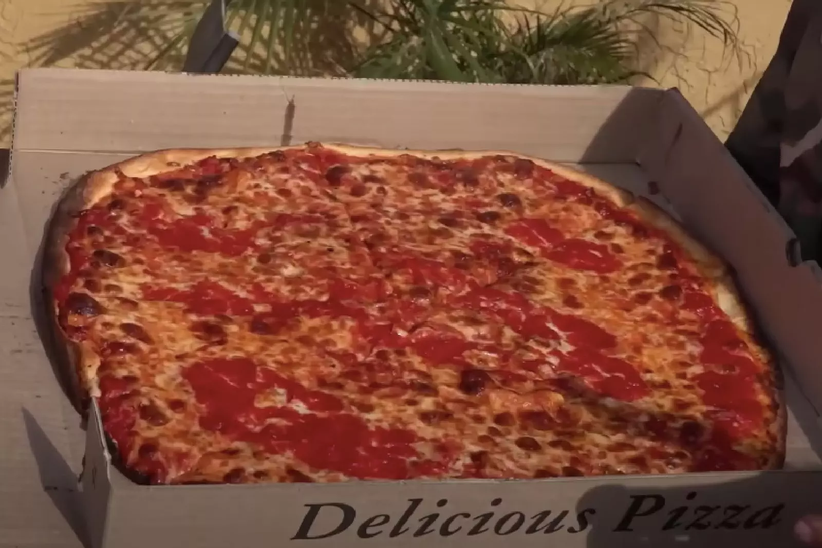 Barstool Sports' Dave Portnoy reviews Little Falls, NJ pizzeria