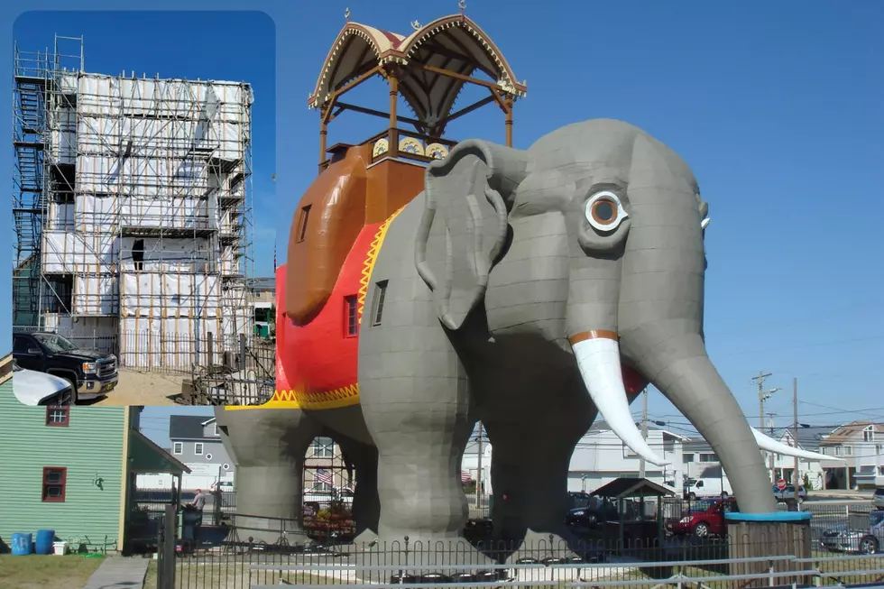 This is when Lucy the Elephant will reopen in Margate, NJ