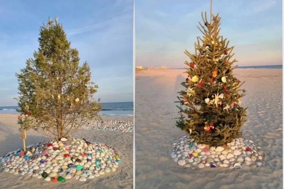 Where to find Christmas Trees on the beach - Its a Jersey thing
