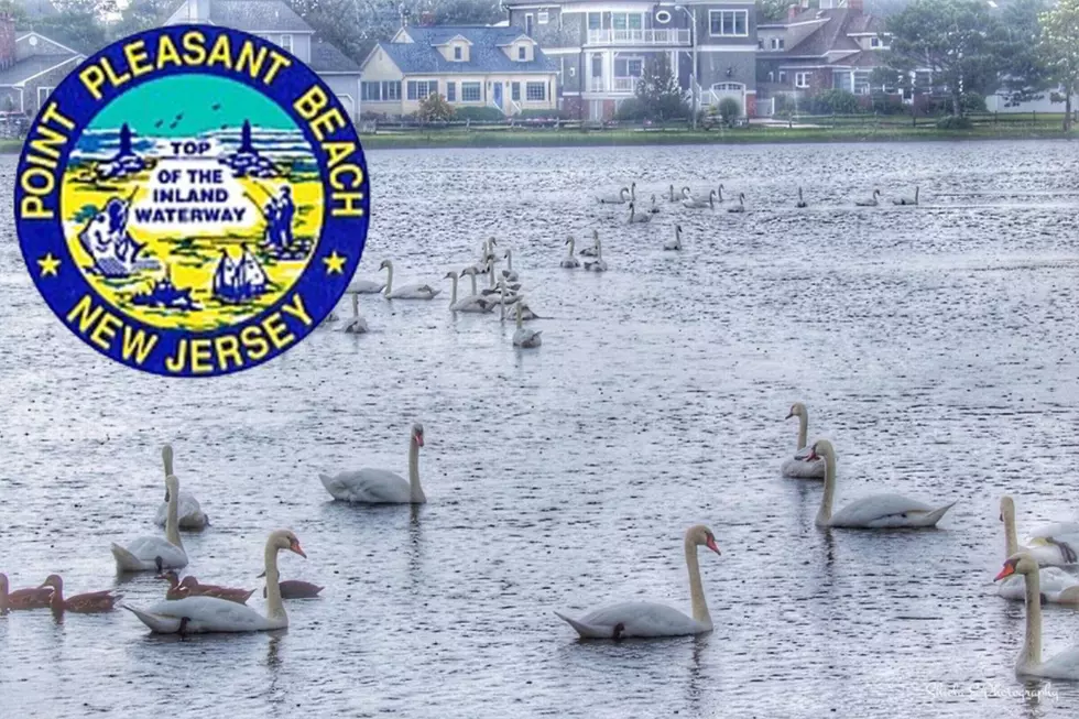 Swan Lake is decimated by outbreak of bird flu In Point Pleasant Beach, NJ