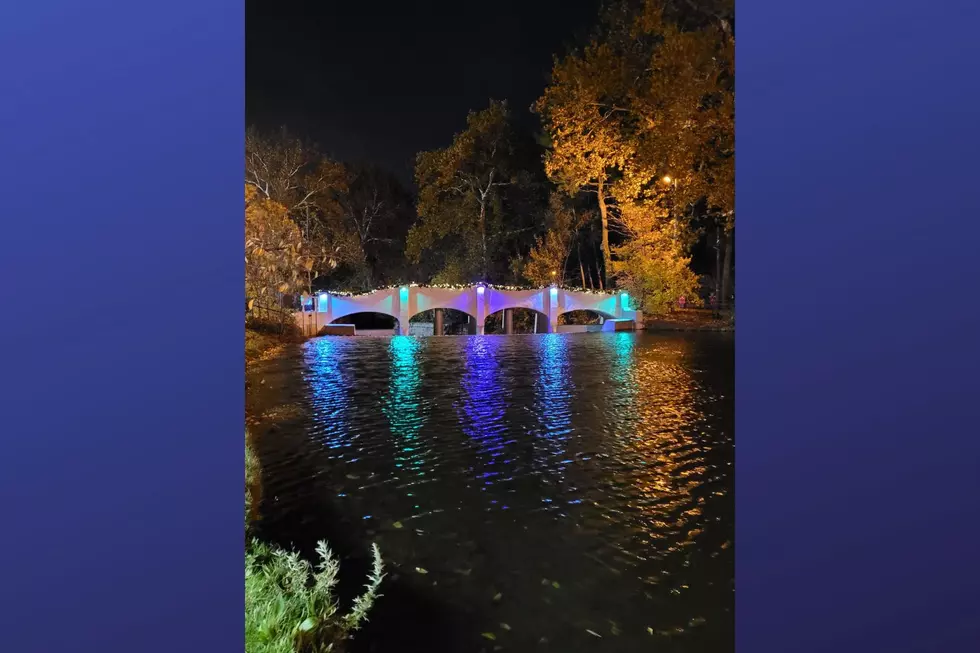 2021 Winter Walk (Millburn-Short Hills Chamber of Commerce)