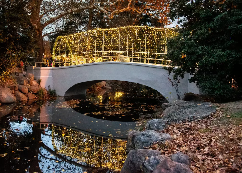 The Winter Walk Lighting Celebration comes to Millburn, NJ this weekend