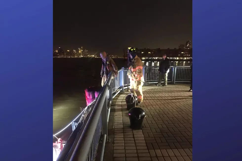 Edgewater firefighters save Bear from Hudson River (Photo Credit: Edgewater Fire Company #1 Facebook)