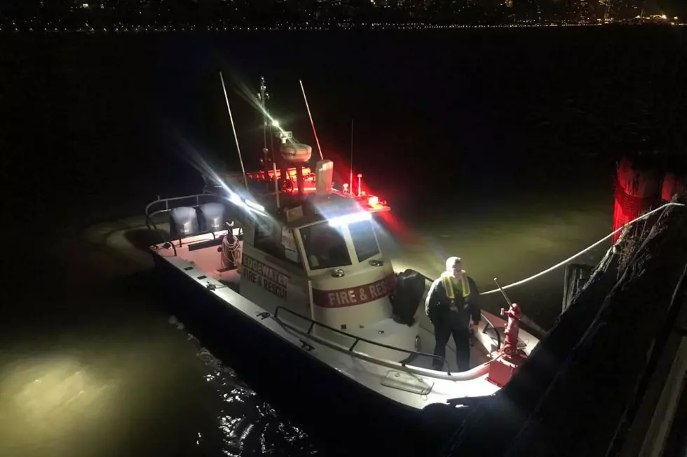 Edgewater firefighters save Bear from Hudson River (Photo Credit: Edgewater Fire Company #1 Facebook)