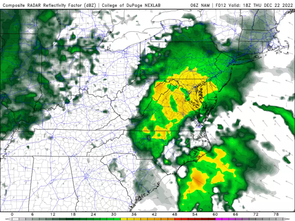NAM model forecast as of early Friday afternoon, with steady rain taking over most of New Jersey at this point. (College of DuPage Meteorology)