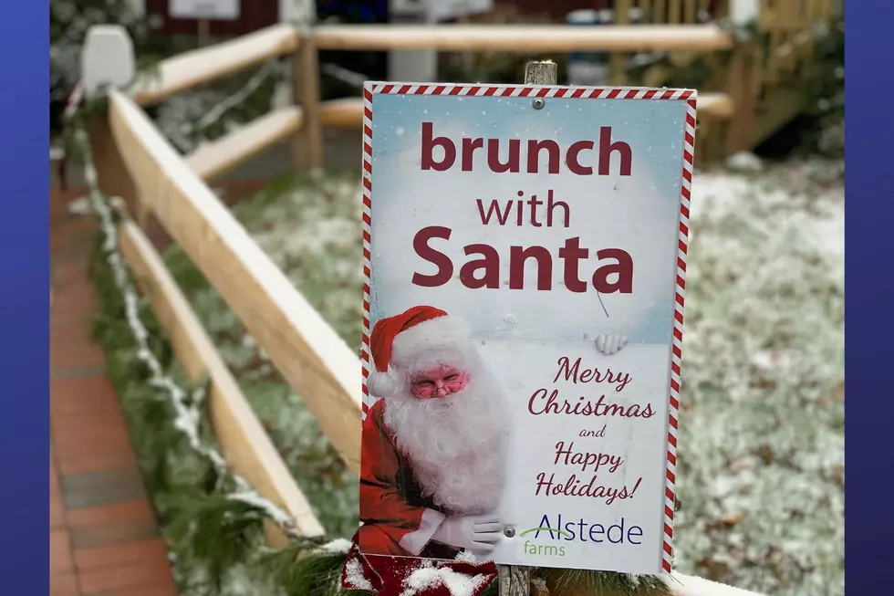 Christmas at Alstede Farm in Chester (Photo Credit: Alstede Farm)