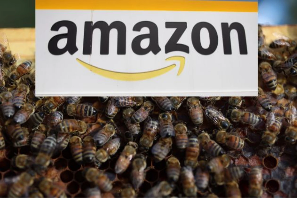 Amazon contributing to death of bees? NJ group takes on retailer