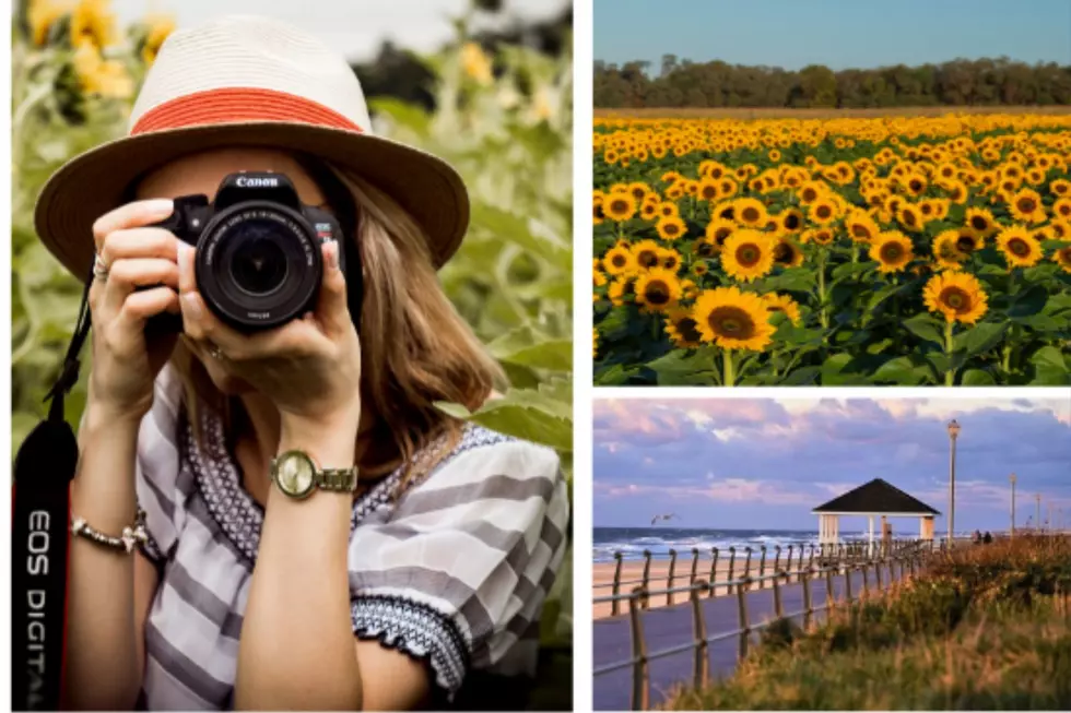Monmouth County, NJ 2023 Travel Guide cover photo contest underway