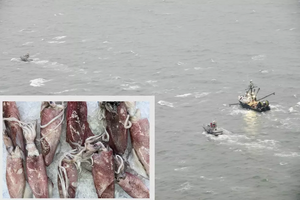 Disabled boat with 14,000 pounds of squid rescued off NJ coast