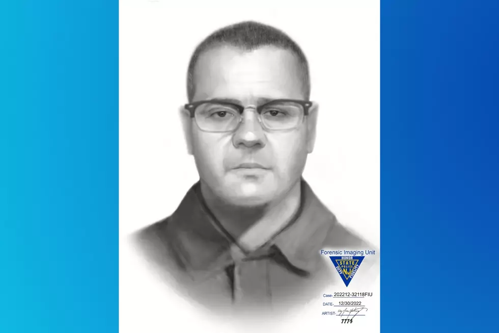 Suspect composite sketch. (NJSP)