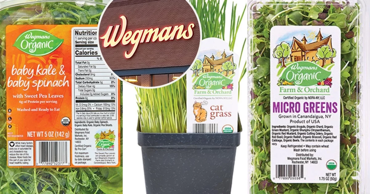 Wegmans recalls greens over possible Salmonella contamination