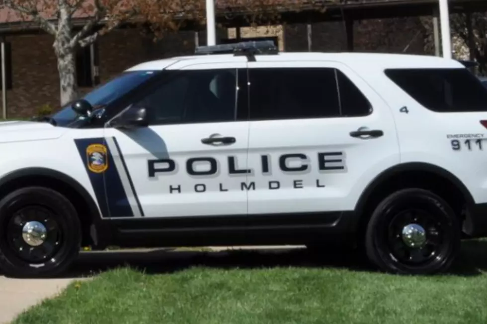 Trio of 13-year-olds crash stolen car fleeing Holmdel, NJ cops, police say