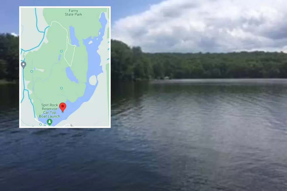 Splitrock Reservoir (via Rockaway Township, Google Maps) ice fishermen drown NJ 2022