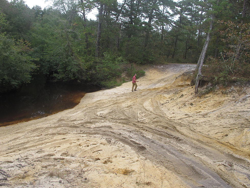 ATV Riders Ruining it For Everyone? NJ May Require Permits For Forest Visitors