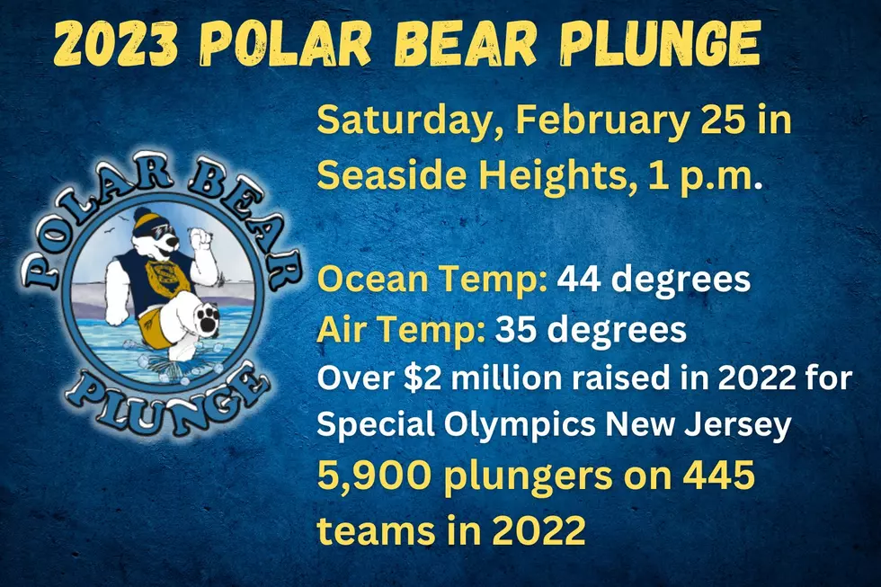 Polar Bear Plunge information