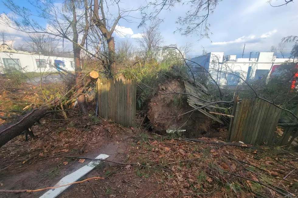 Tree through a fence in West Windsor after a tornado 2/21/23