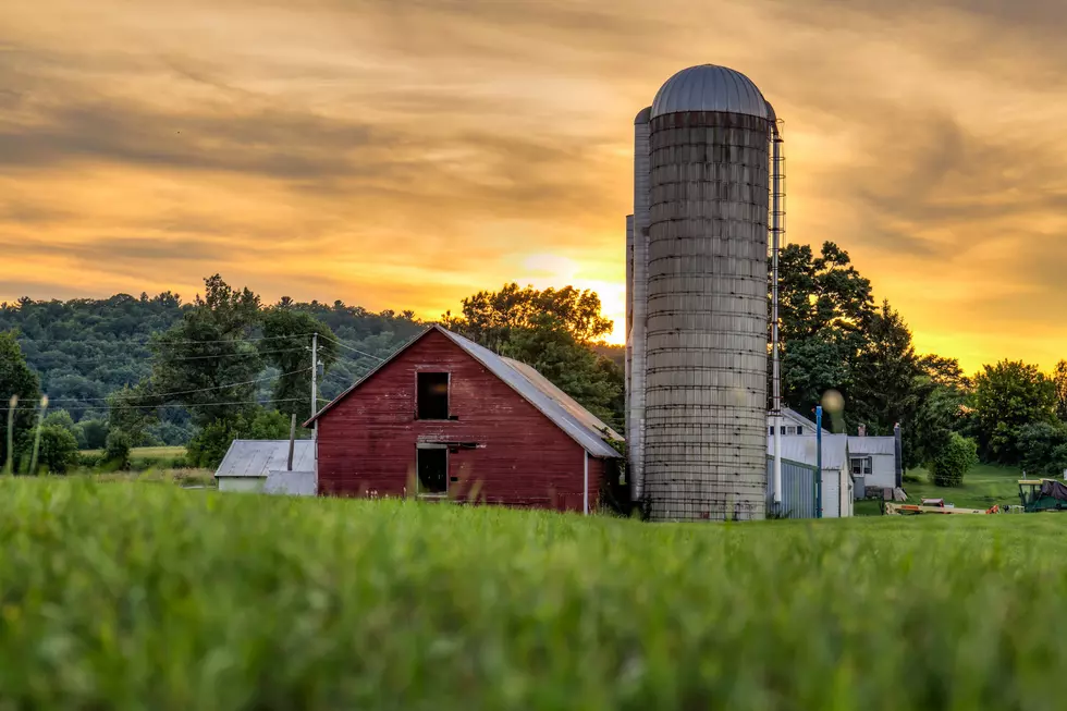 What happens if China starts buying up NJ farmland? A plan to stop them