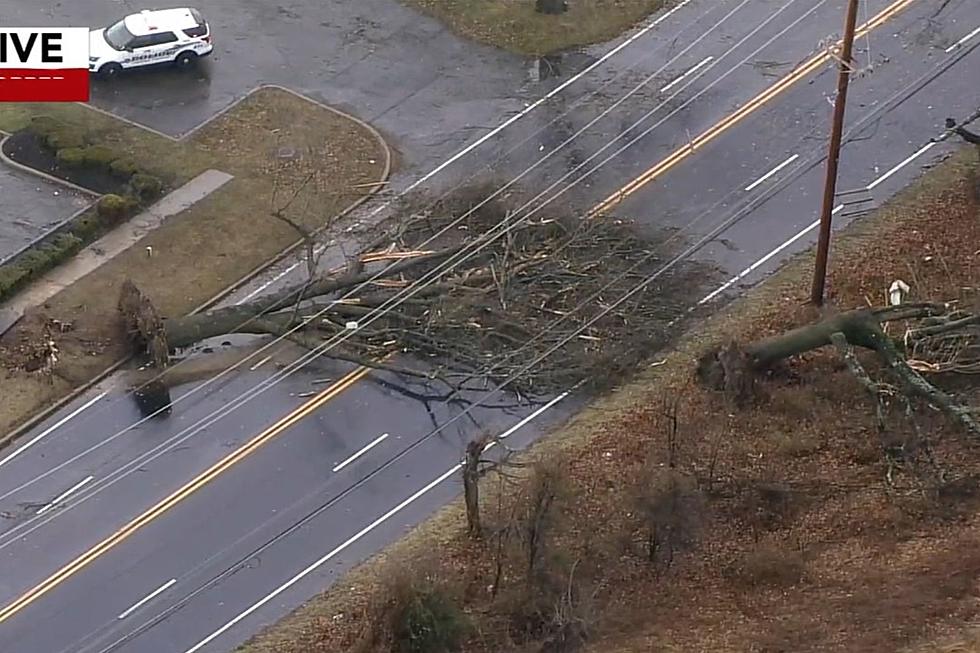 Tornado in February? Winds, hail rip through Mercer County, NJ