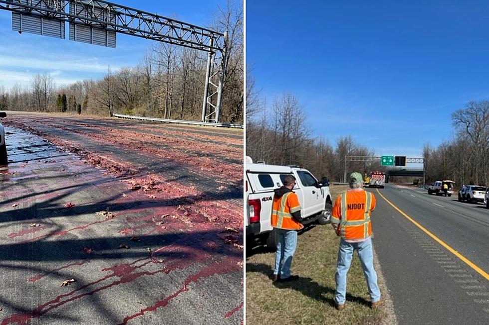 Horrible smelling chicken guts spill over NJ highway in crash