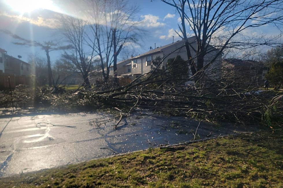 Confirmed: Tornado Touched Down and Left a Mess in West Windsor, NJ