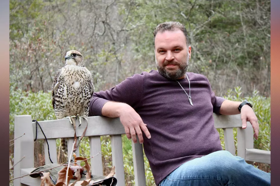 Artemis, the falcon and Danny Mendez, assistant director of the Popcorn Park Animal Refuge