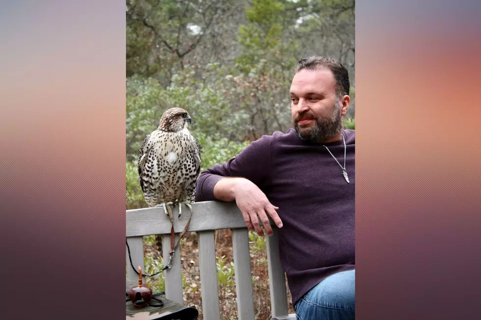 Artemis, the falcon and Danny Mendez, assistant director of the Popcorn Park Animal Refuge