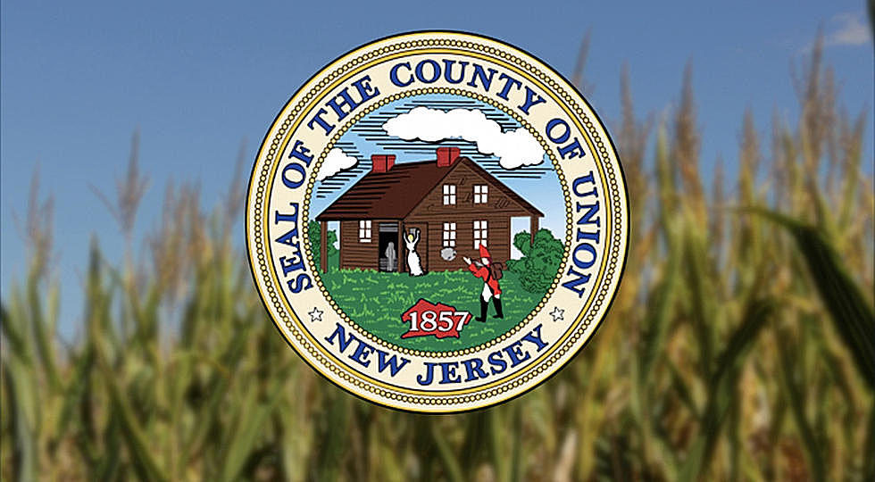 Uproar brewing over plans to change NJ county’s seal