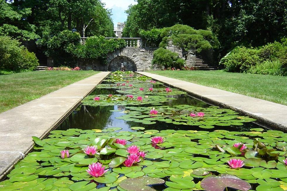 Hidden Gem Botanical Gardens In New Jersey