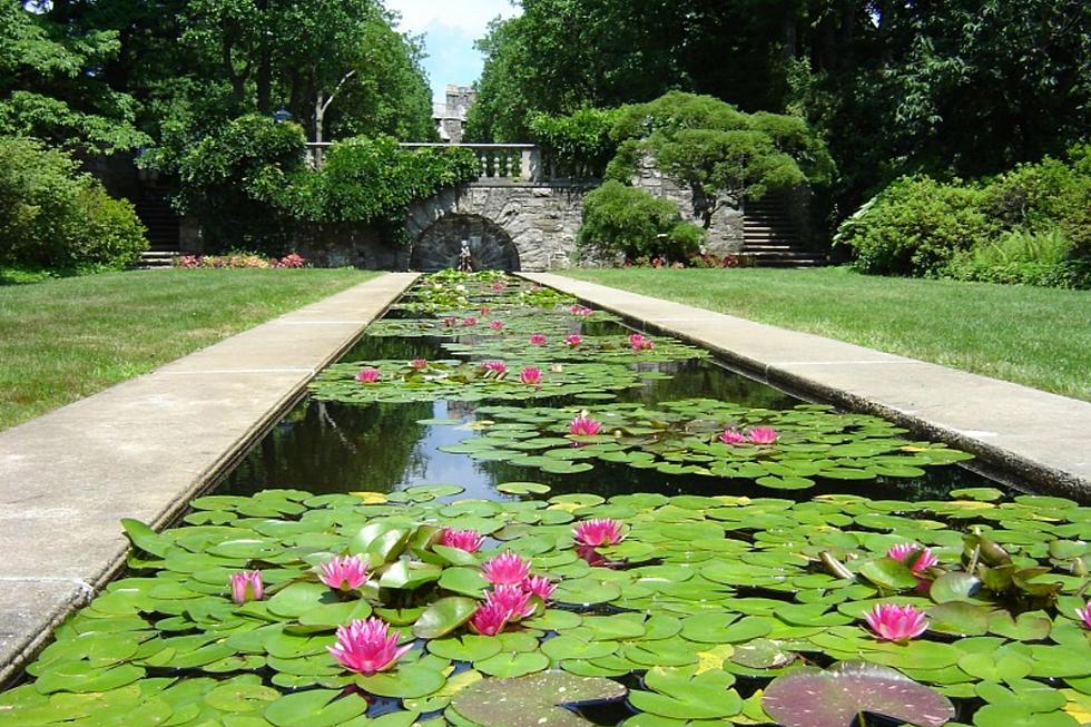 Hidden gem Botanical Gardens in New Jersey