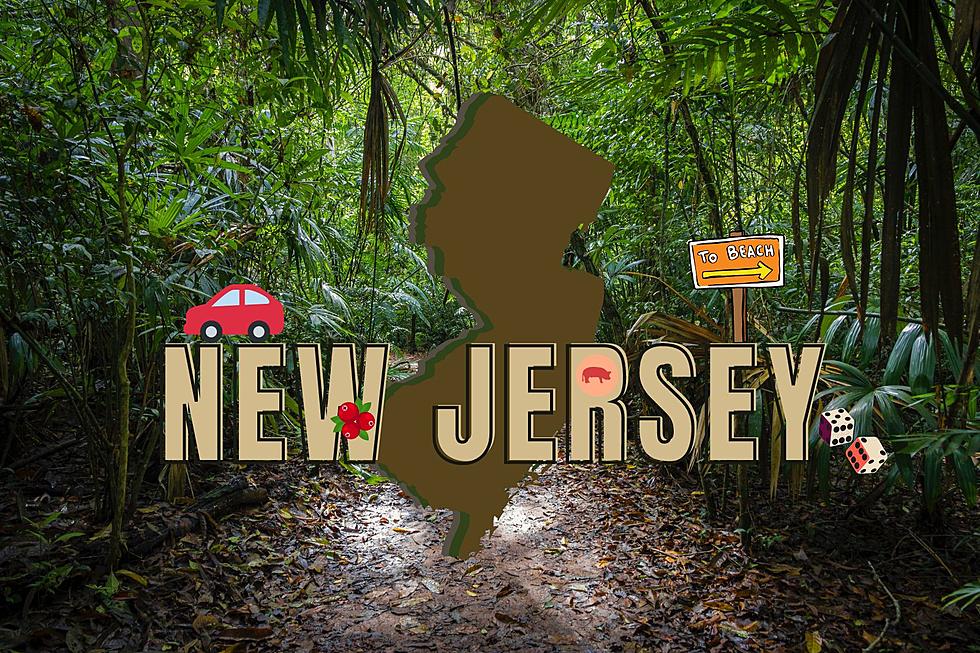 Let’s play ‘Survivor New Jersey’