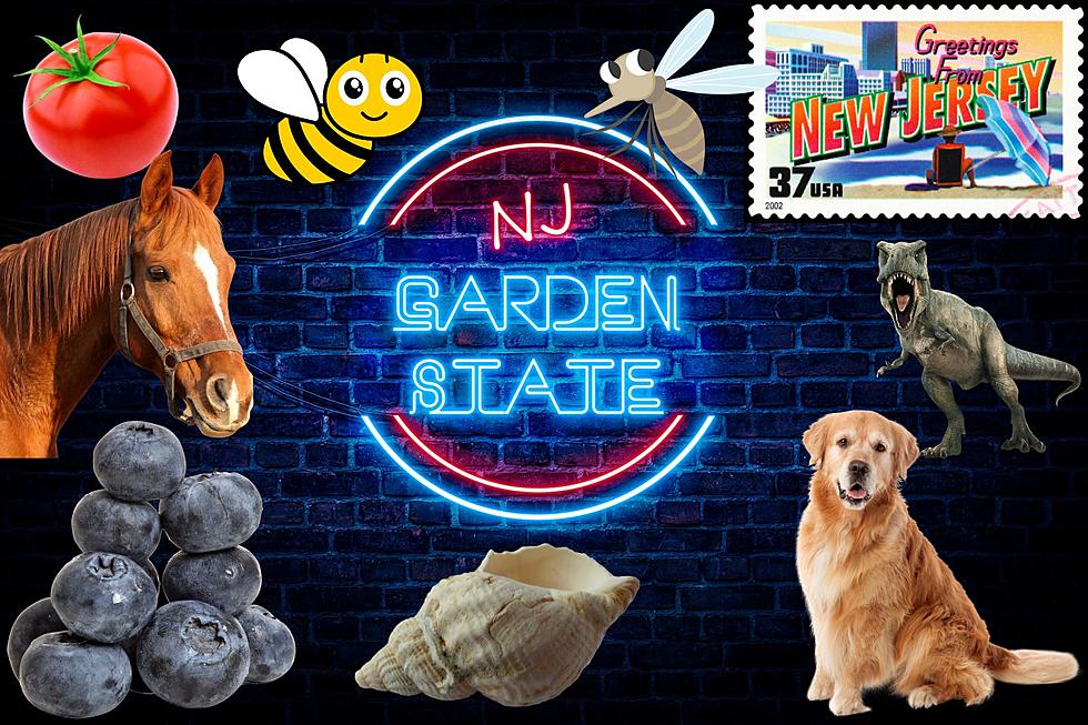 NJ has a lot of official state symbols — see if you can pick the right ones