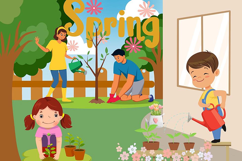 Spring planting guide for New Jersey