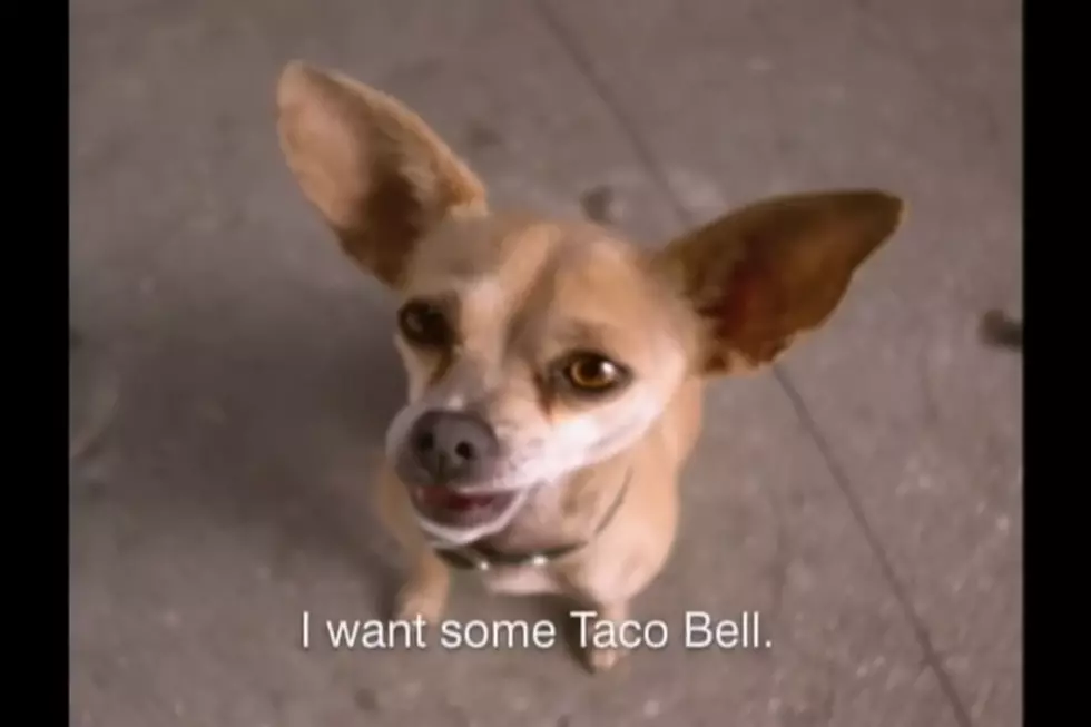 Taco Bell Chihuahua (Photo: Taco Bell - Chihuahua (1997, USA) The Hall of Advertising on YouTube)