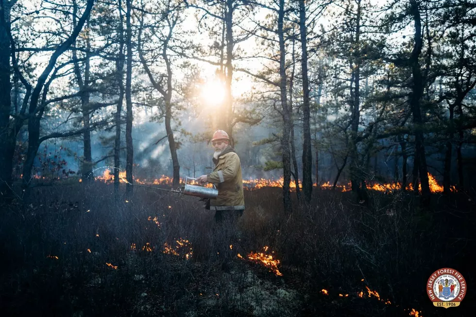 Governors Branch wildfire burns in Little Egg Harbor