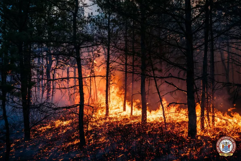 Governors Branch wildfire burns in Little Egg Harbor