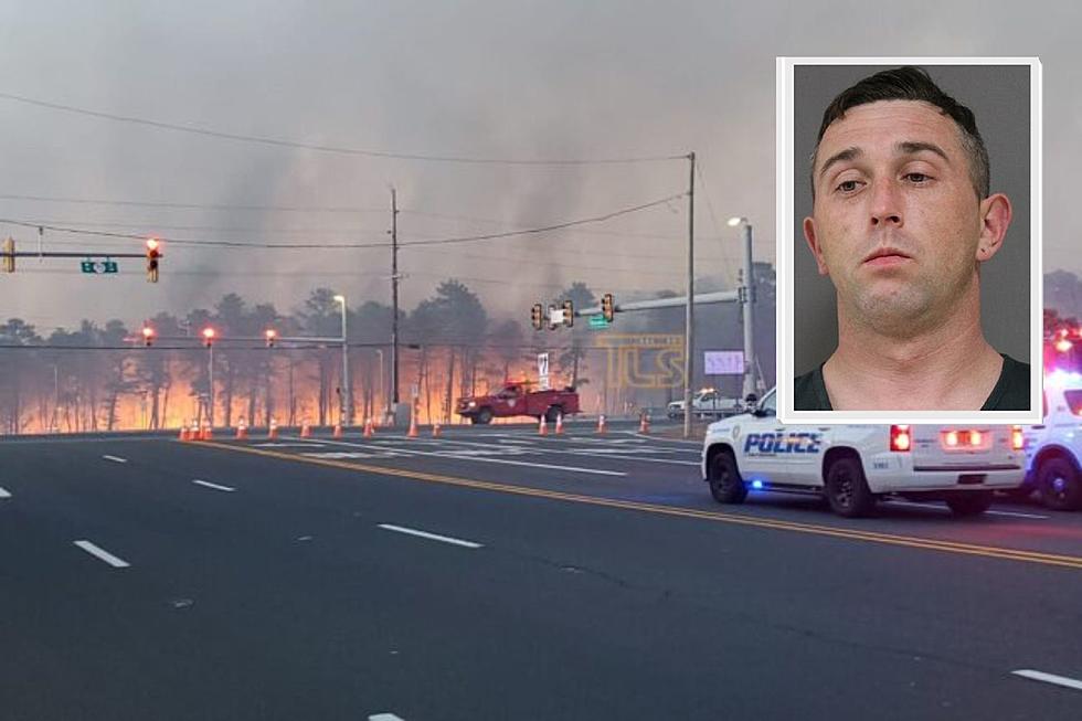 Manchester, NJ man admits setting multiple wildfires that burned hundreds of acres