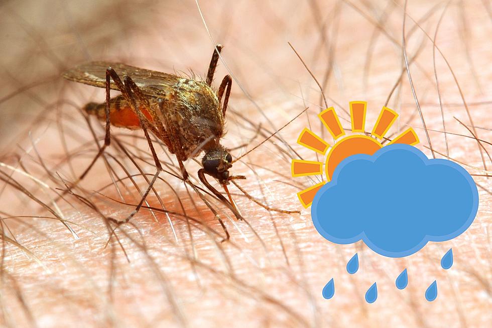 Will NJ get another early start to mosquito season?