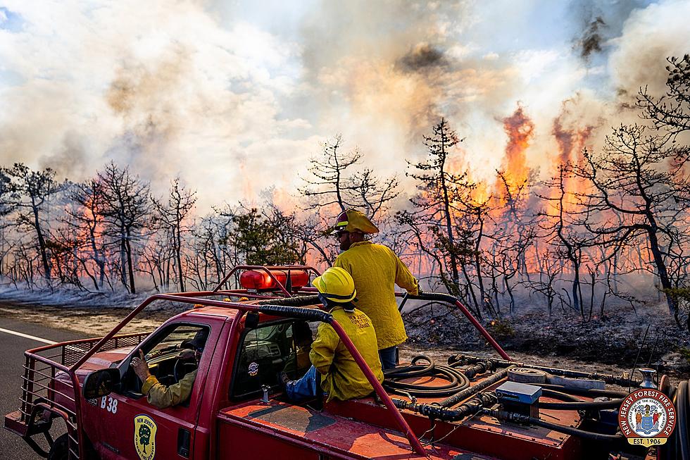 NJ Forest Fire Service declares war on wildfires