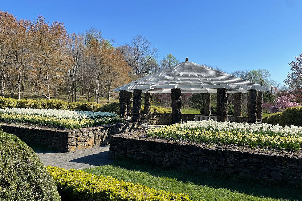 NJ mobster&#8217;s lavish garden is a hidden gem in Monmouth County