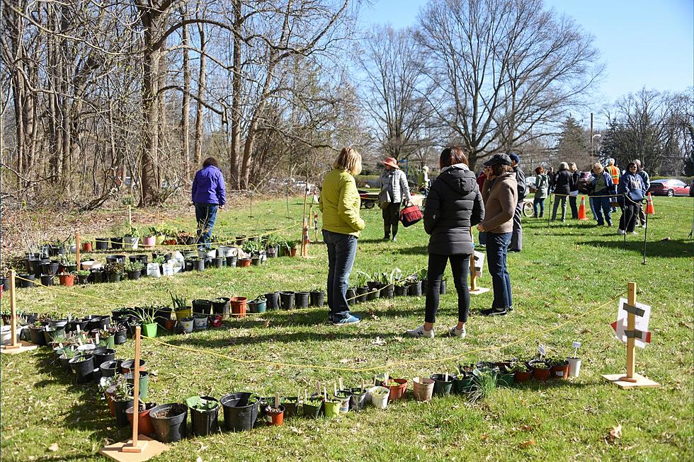 Only native plants accepted at Monmouth County plant swap